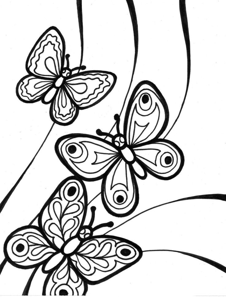 Mariposas mariposas para colorear dibujos de mariposas pãginas para colorear de flor