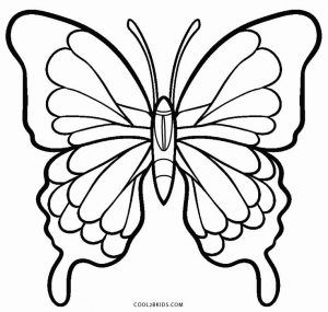 Coloring pages of butterflies butterfly art drawing butterfly drawing butterfly coloring page