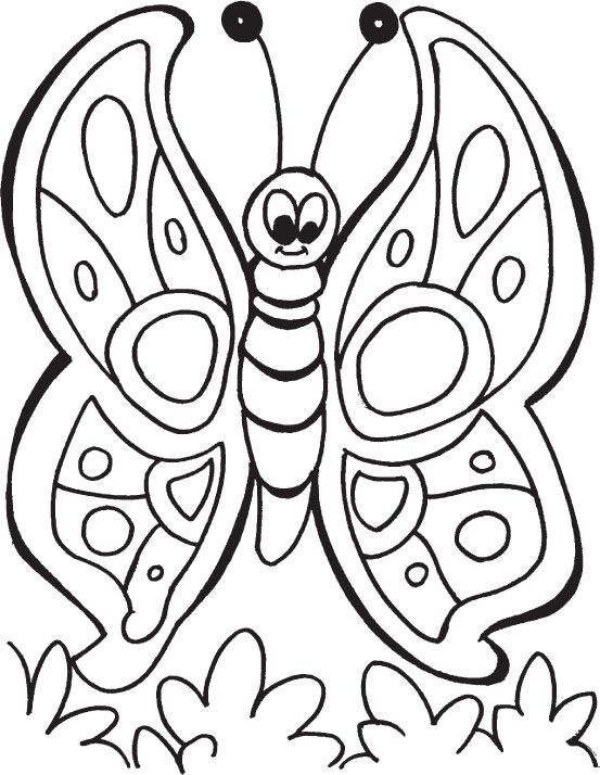 Mariposa para colorear mariposas para colorear dibujos para colorear imagen de mariposas bonitas