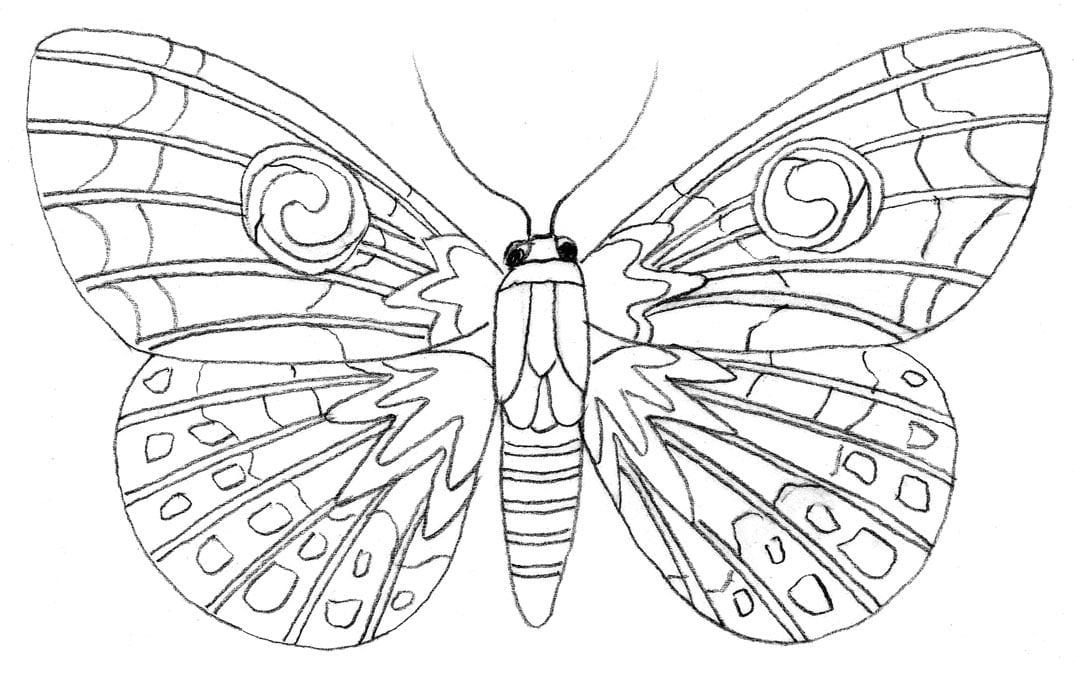 Tutorial para colorear cãmo dibujar una mariposa