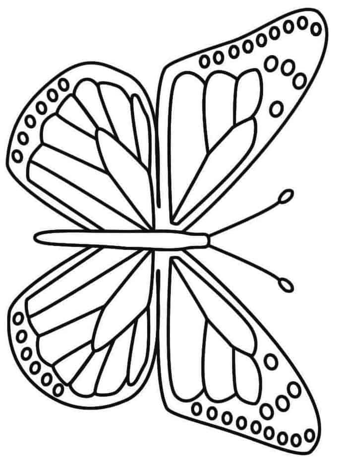 Detailed butterfly coloring pages butterfly coloring page owl coloring pages heart coloring pages