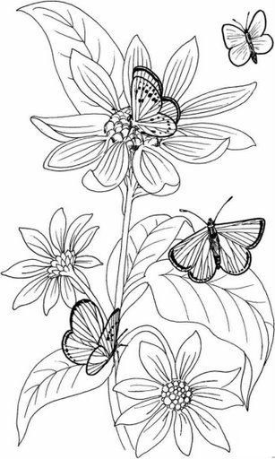 Dibujos y plantillas para imprimir mariposas y flores ausmalbilr stickereimuster malen fãr erwachsene