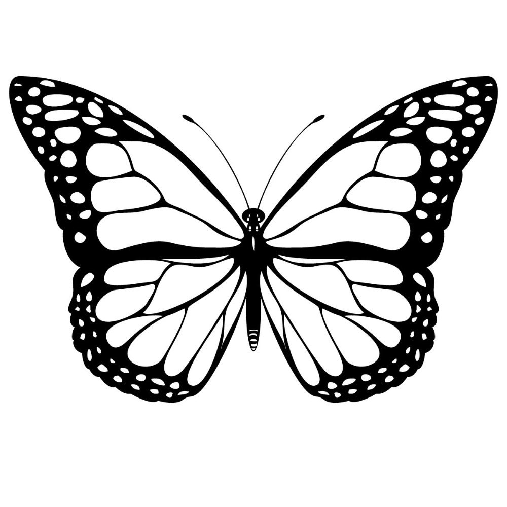 Galerãa de imãgenes dibujos de para colorear