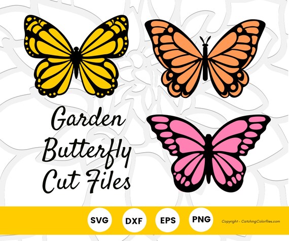 Plantillas de mariposa monarca archivos de corte svg de mariposa mariposas de papel de bricolaje decoraciãn de pared de mariposa de papel descarga instantãnea