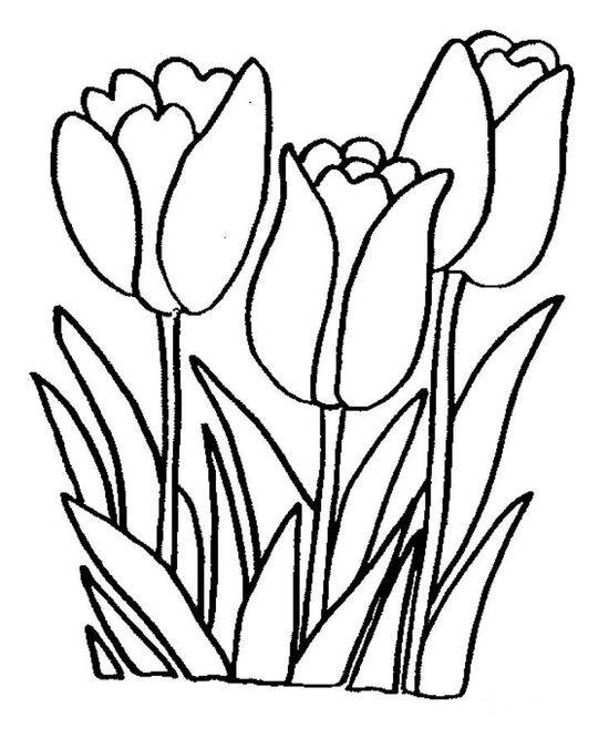 Flowers and plants ideas coloring pages flower coloring pages coloring books