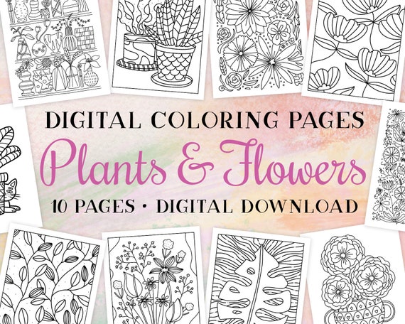 Plants flowers coloring pages digital download printable coloring pages coloring pages for adults
