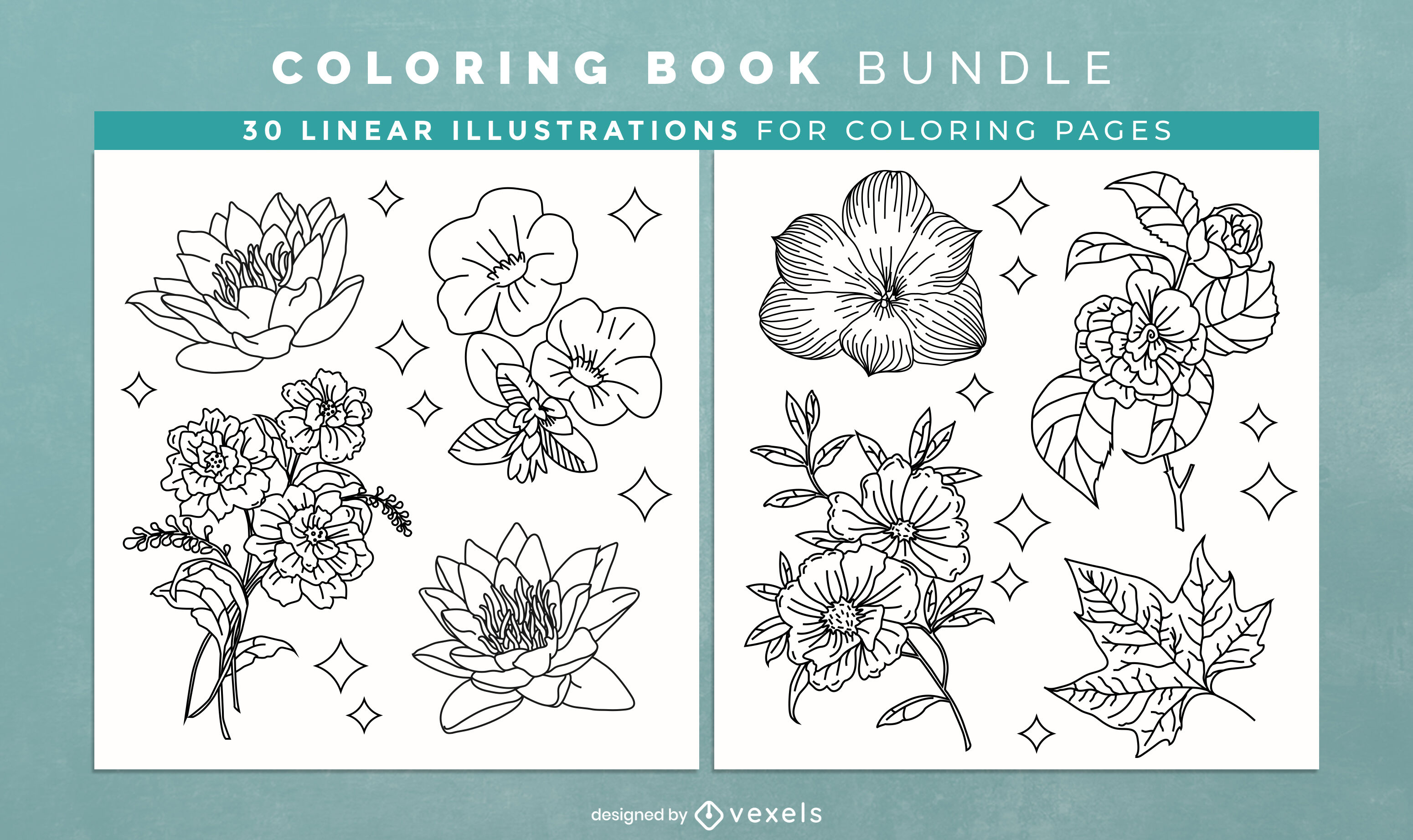 Plants and flowers coloring book design pages vector download