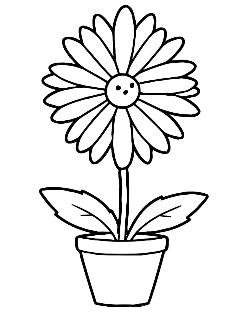 Flowers coloring pages