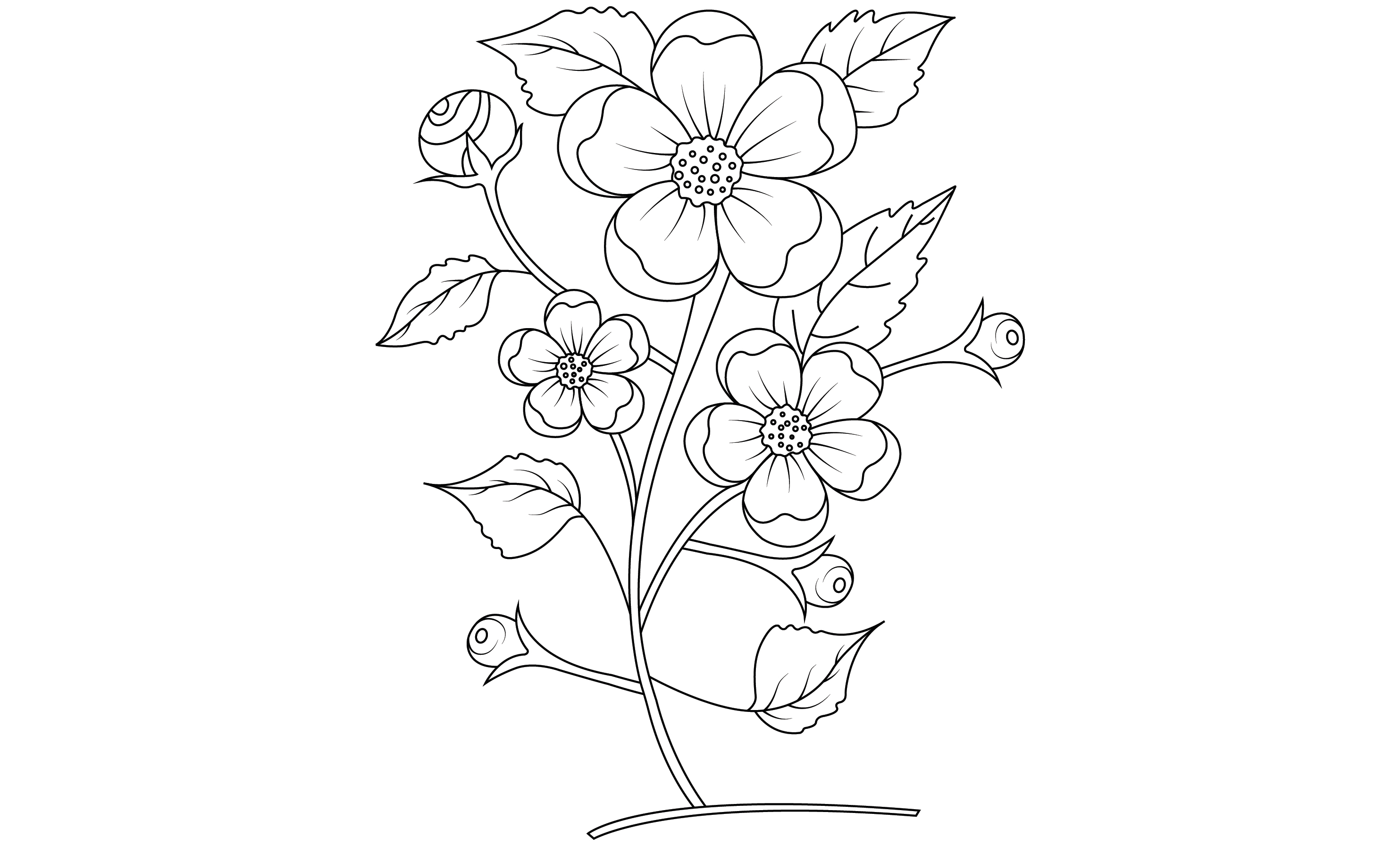 Give you unique coloring page line art of plants flowers by jehadelta