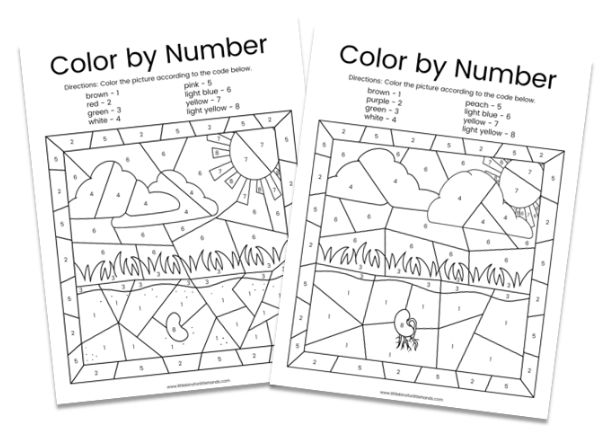 Plant life cycle color by number
