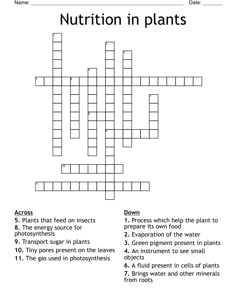 Nutrition in plants crossword
