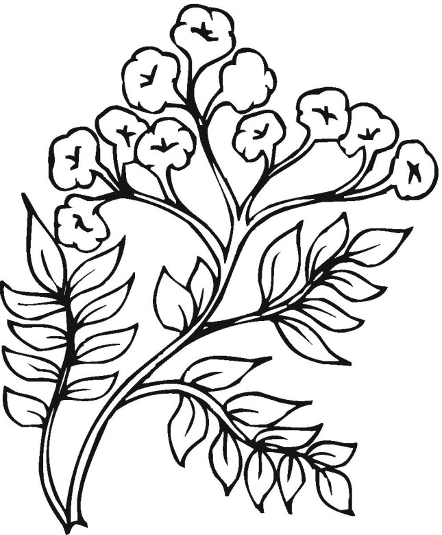 Free plants coloring pages