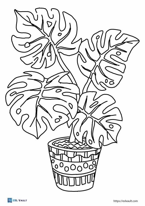 Free printable plant coloring pages