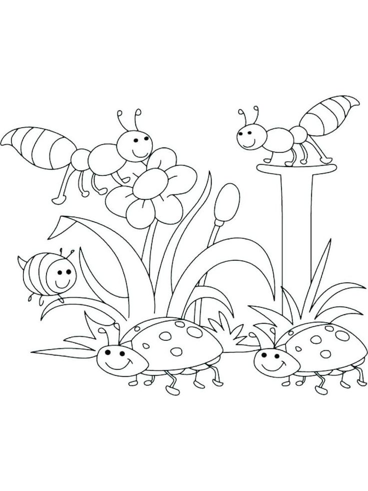 Plant coloring pages science plants are one of the creatures that occupy this earth his life can sustâ coloring pages flower coloring pages fish coloring page