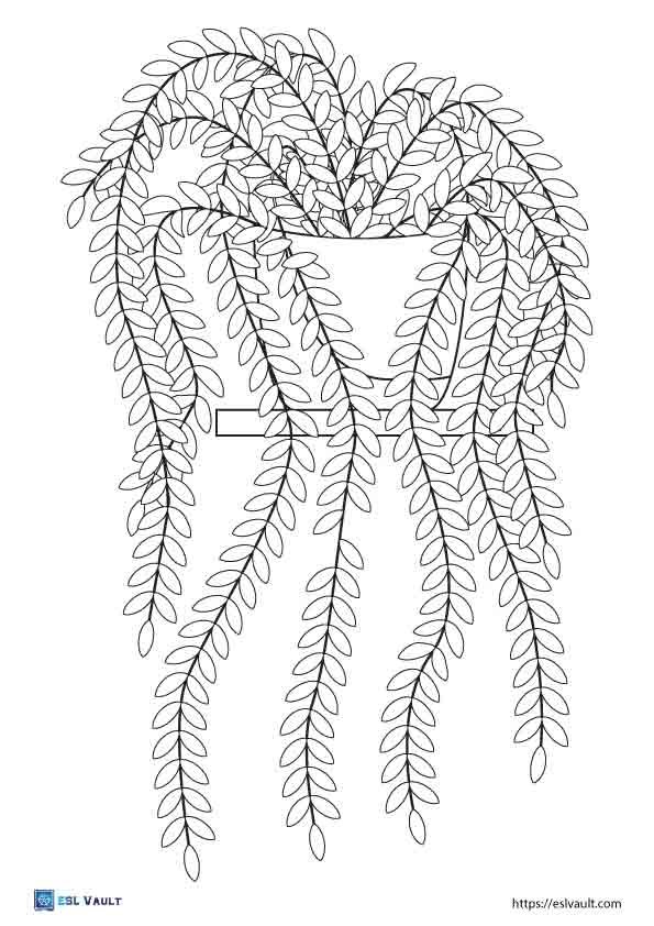 Free printable plant coloring pages