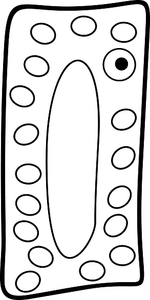 Coloring page with simplified structure of plant cell stock illustration
