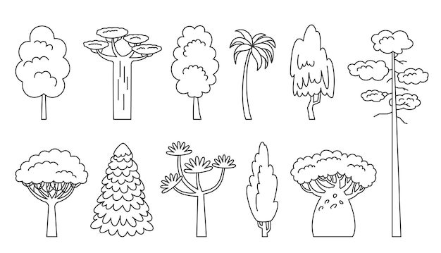 Premium vector tree line icon set coloring book eco plants side view spruce maple baobab palm sequoia dracaena willow cypress thuja pine oak poplar birch cartoon forest aspen alder ash linden