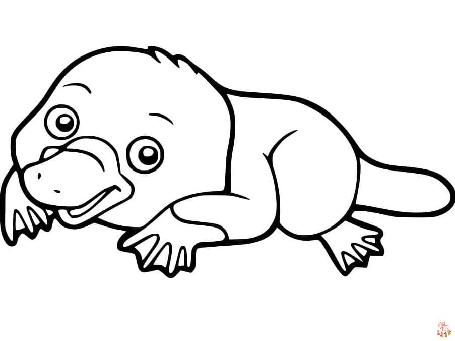 Prinatble platypus coloring pages free for kids and adults