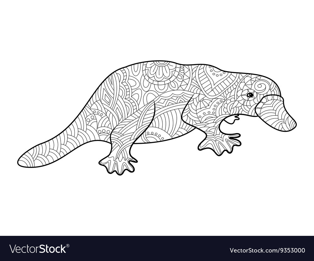Platypus coloring book for adults royalty free vector image