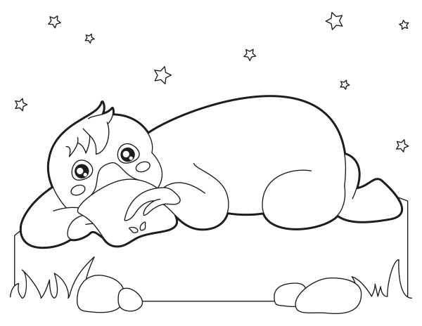 Printable baby platypus coloring page