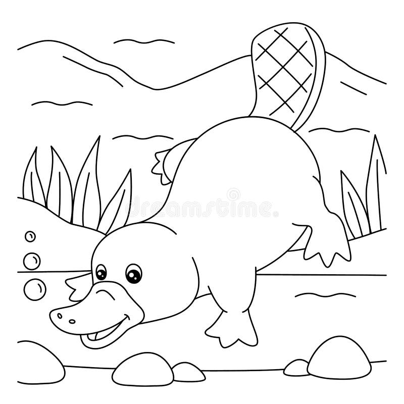 Platypus coloring stock illustrations â platypus coloring stock illustrations vectors clipart