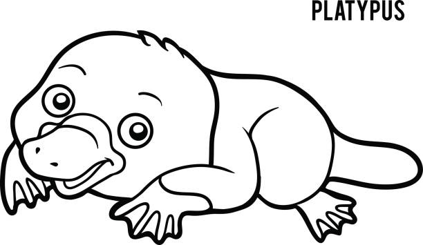 Coloring book platypus stock illustration