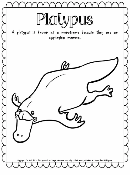 Platypus coloring page free homeschool deals