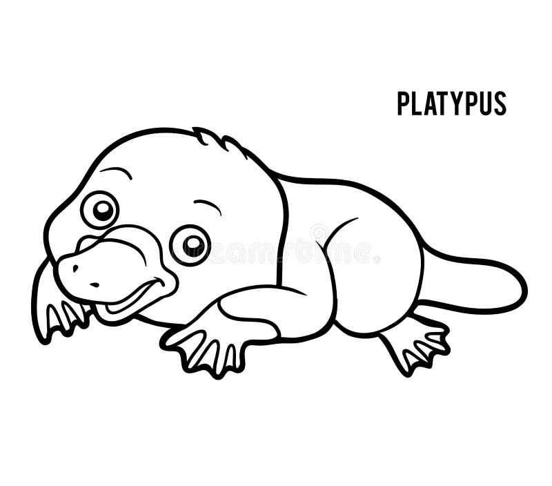 Coloring book platypus stock vector illustration of black