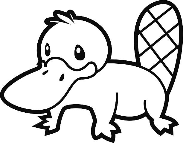 Coloring book for children platypus stock illustrations royalty