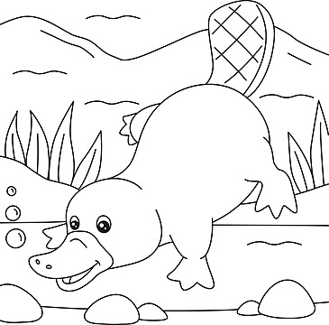 Platypus coloring page colored illustration design duckbill animal vector animal drawing duck drawing rat drawing png and vector with transparent background for free download