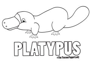 Free platypus coloring page â the tucson puppet lady