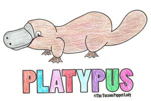 Free platypus coloring page â the tucson puppet lady