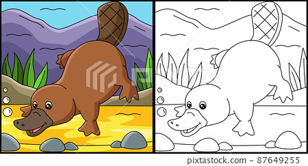 Platypus coloring page colored illustration