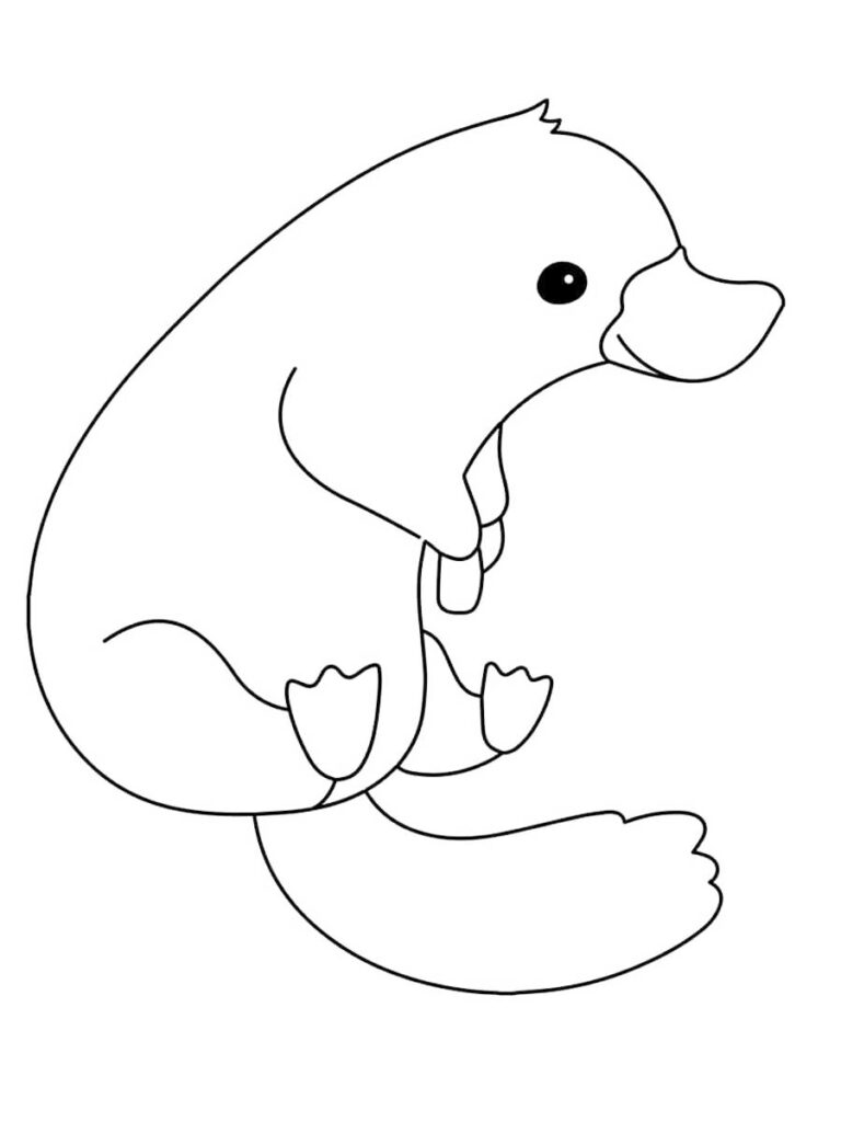 Platypus coloring pages