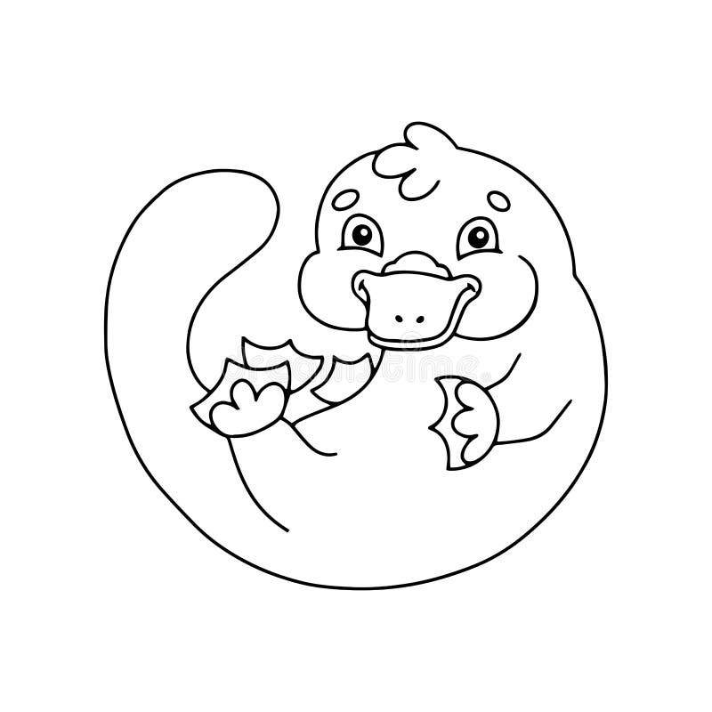 Platypus coloring stock illustrations â platypus coloring stock illustrations vectors clipart
