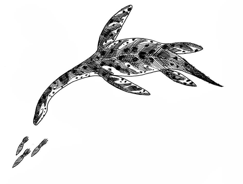Everything youve every wanted to know about plesiosaurs