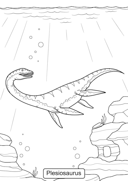 Premium vector plesiosaur dinosaur line art for coloring page vector illustration