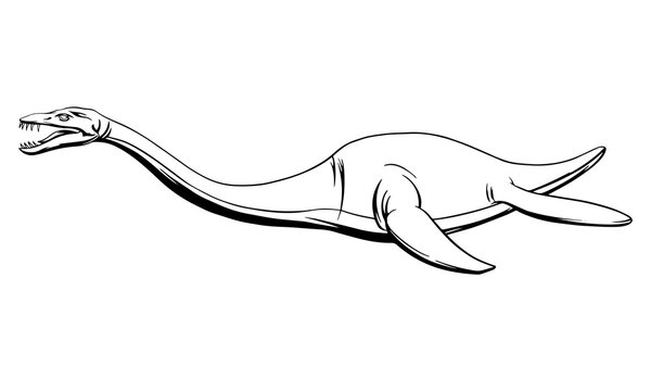 Plesiosaurs images â browse photos vectors and video