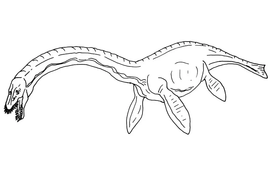 Plesiosaurus fãrbung seite