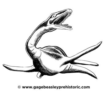 An ultimate guide to plesiosaurus the near to lizard