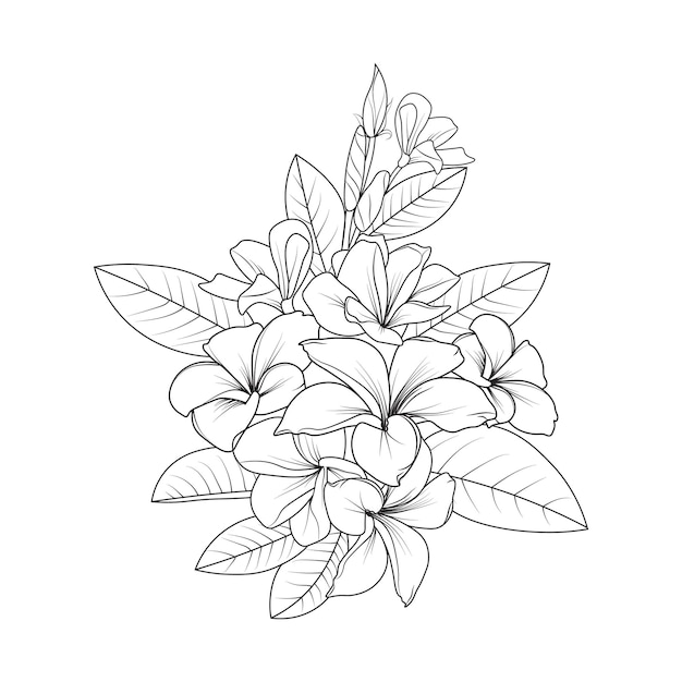 Premium vector set of hand