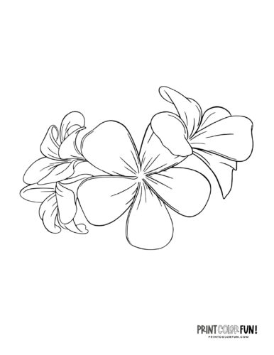 Flower coloring pages clipart to color a whole garden at
