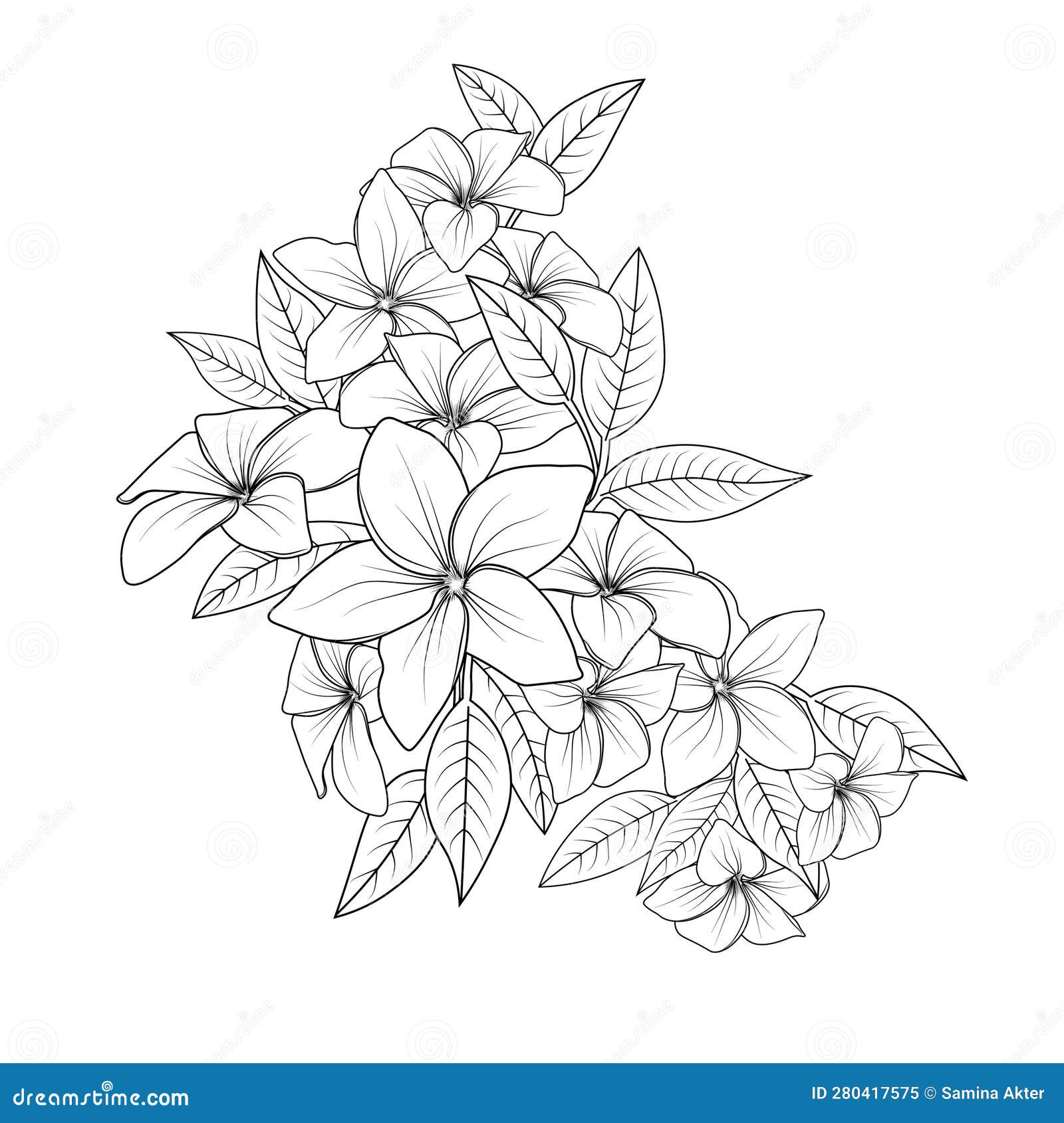 Detailed flower coloring pages plumeria flower doodle illustration zentangle tattoo design coloring pages frangipani vector art stock vector