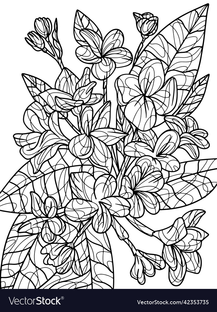 Plumeria flowers with thorns bouquet coloring vector image