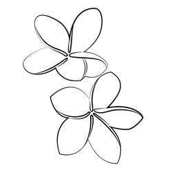 Plumeria coloring pages for kids