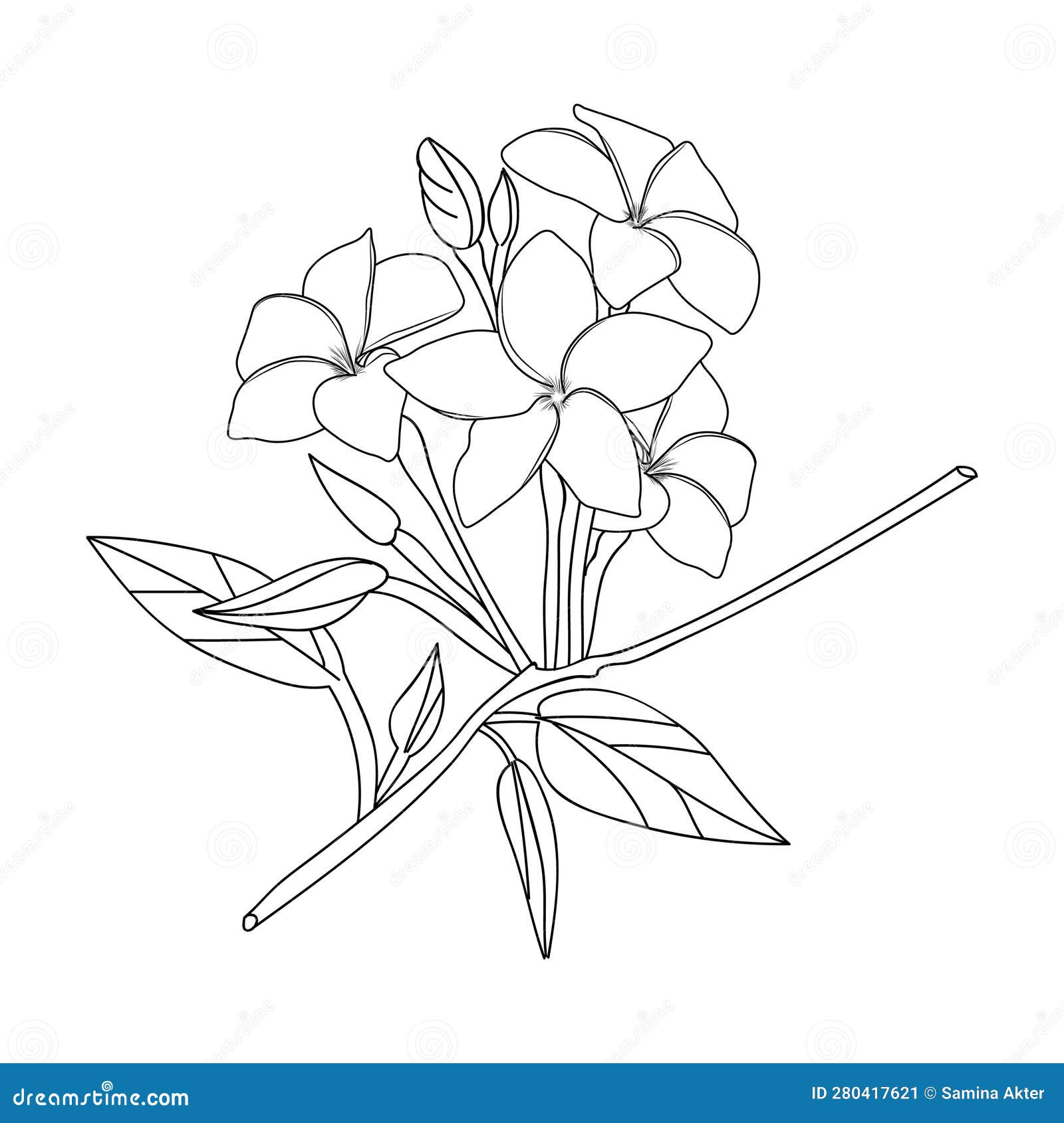 Cute flower coloring pages frangipani flower drawings single line art with flowers hand drawing plumeria flower vector sketch stock vector