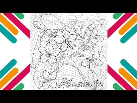 Plumeria coloring page by numbers
