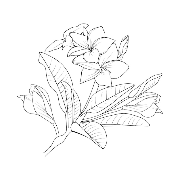 Premium vector hand