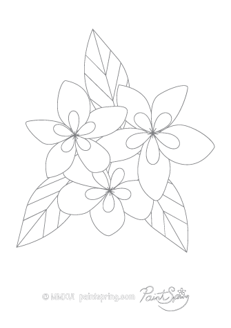 Printable flower adult coloring book get free pages