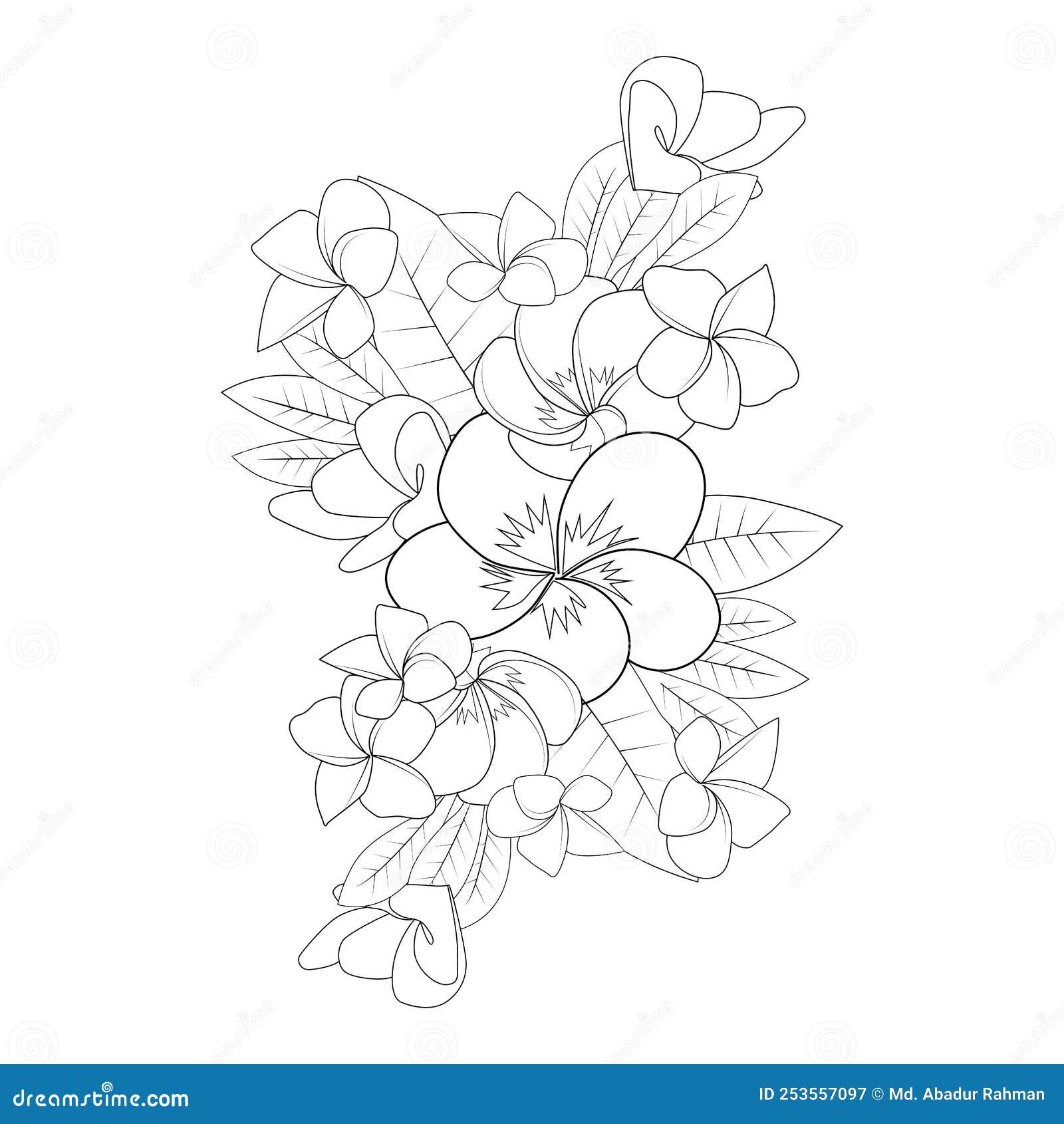 Plumeria flower line art sketch with outline stroke of doodle coloring page for print stock vector